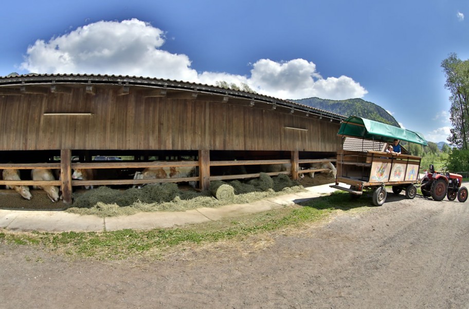 Bauernhof © Hotel Gasthof Post